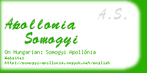apollonia somogyi business card
